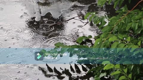Meditative Rain: A Soothing Music Video for Relaxation and Mindfulness