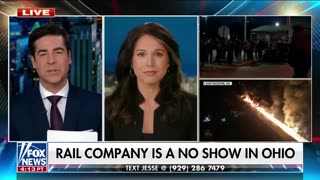 Tulsi Gabbard: Biden's government doesn't care about this 'massive catastrophe'