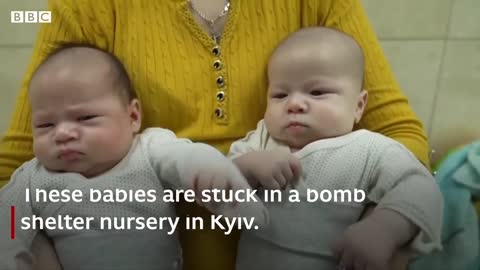 Surrogate babies wait for parents in Ukraine bomb shelter - BBC News