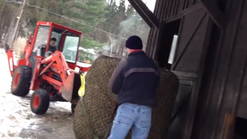 Part B Daniel pulling the round bale with the hay net from the back of the box.