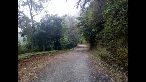 Parque Nacional EL AVILA-Ruta Cotiza la ZAMURERA-Senderismo en el Cerro EL AVILA Maravilla Natural🏕️