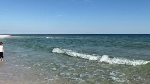 Shark at Perdido Key