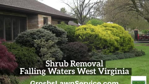 Shrub Removal Falling Waters West Virginia Landscape Contractor