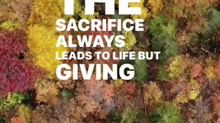 The Power of Sacrifice: Do NOT Give Up!