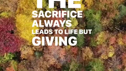 The Power of Sacrifice: Do NOT Give Up!