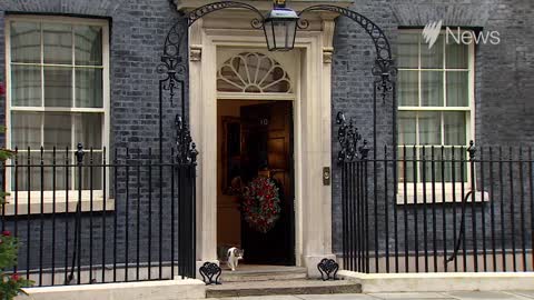 Larry the Cat outlasts another UK prime minister _ SBS News