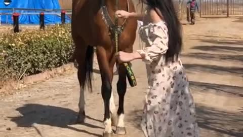 #Horse So Cute ! Cute And Funny Horse #Horse #Traing of Horse