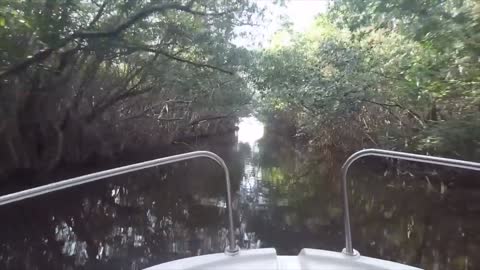 Boating thru a Mangrove in Cancun Mexico....