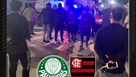 violência pós-jogo do Palmeiras x Flamengo deixa dois feridos