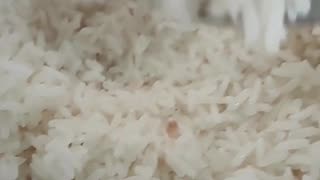 VOCÊ SABE FAZER ARROZ BRANQUINHO E SOLTINHO??