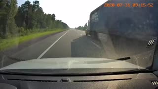 Bear on the highway