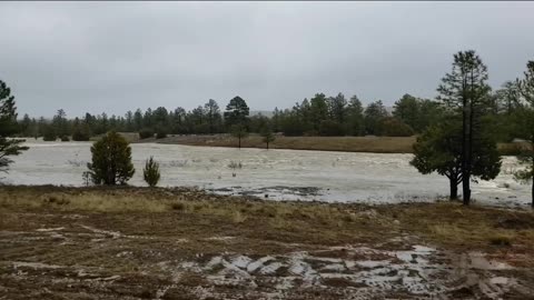 Show Low Lake AZ is Very full