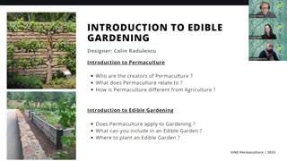 Introduction to Vine Permaculture