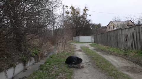 Autoridades ucranianas continúan con la identificación de las víctimas de Bucha