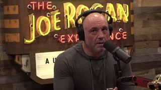 Joe Rogan Discuss Disturbing Facts About Human History of Torture/w Greg Fitzsimmons