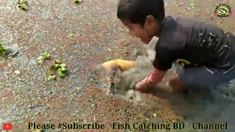 Little boy catching Fish in hand.....