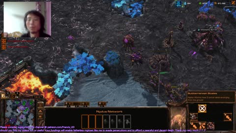 starcraft2 zerg v protoss on inside and out another stupid defeat