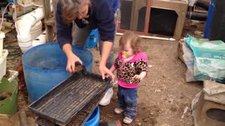 Quality control in the greenhouse, seed starting, Granddaughter, helper