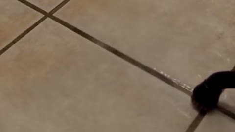 Steam Cleaning Really Dirty Grout