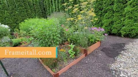 Summer Garden Tour with Heather Andrews