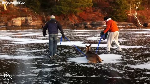 She Was Trapped On Ice Until They Pulled Her To Safety