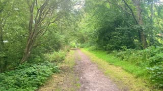 Hainault Forest Park - A walk through the natural beauty of greater London [4K UHD]