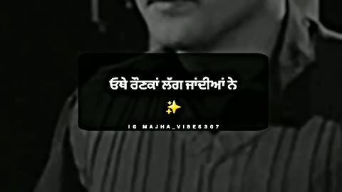 Punjabi status