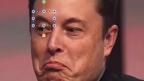 Elon Musk new Tesla model