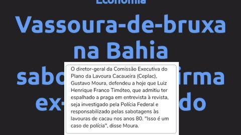 Crime Bio terrorismo : A vassoura de bruxa do PT na Bahia.