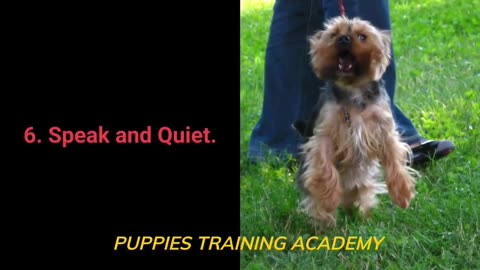 Basic dog training for anyone