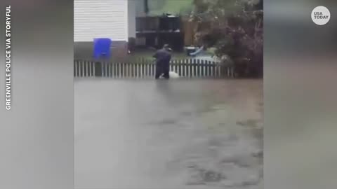 Watch officer save trapped dog tied to fence as Ophelia waters rise | USA TODAY