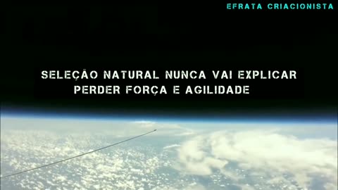 DE DIA NÃO HÁ ESTRELAS