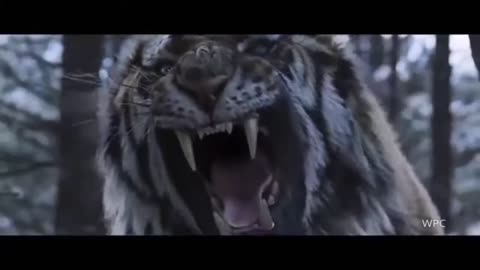 Tiger and Lion Roar The most badass roar in the movie