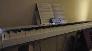 Casio PX-S7000 Digital Piano sound examples