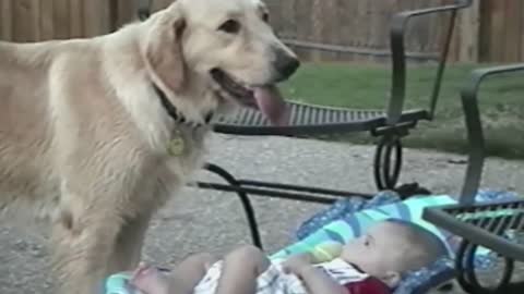 Cute Dogs And Adorable Babies_ Compilation_2