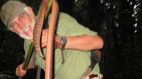 GIANT EARTHWORM DISCOVERED_Cut