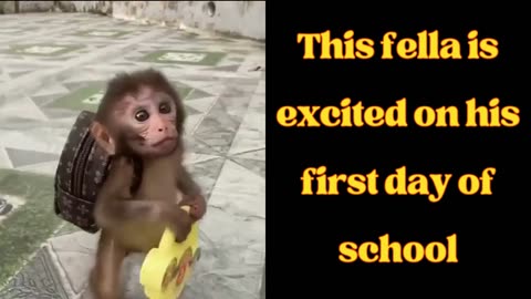 This fella is excited on his first day of school
