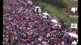 LOOK AT ALL THE PEOPLE COMING ACROSS OUR BORDER