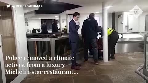 Climate protester dragged out of Michelin-starred restaurant after confronting David Attenborough