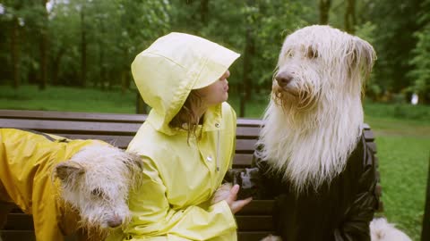 #🪐A woman and her Dogs sitting on the Bench🪐#