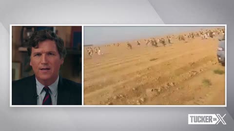 Tucker Carlson x Vivek on Hamas attack on Israel .what’s the wise path forward?