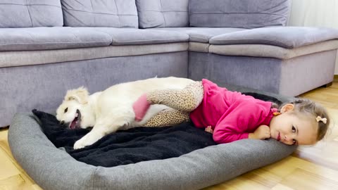 Golden Retriever Puppy's Reaction to an Adorable Little Girl Occupying His Bed!