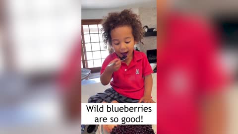 Wild Blueberries Helped Me Heal - Repost from @jordanrdrayton
