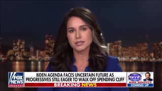 Democrats and Republicans 'too busy squabbling with each other': Gabbard