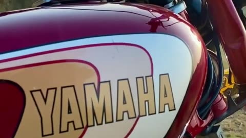 Yamaha lovers