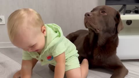 BABY TOLD A SECRET TO HIS DOG! SO CUTE!!!