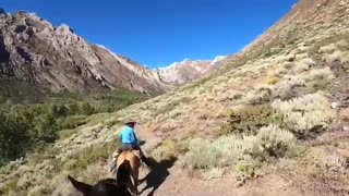 Horse riding California bishop