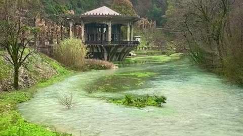 Cloudy Day in the River