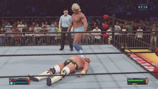 MATCH 55 DUSTY RHODES VS RIC FLAIR WITH COMMENTARY