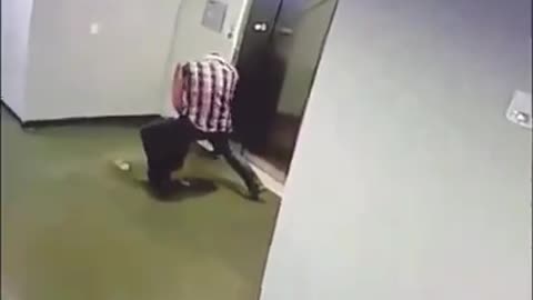Dog Rescued as Elevator Doors Shut On Leash